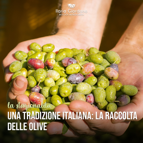 22092101_olive_e_olio_di_oliva_1080x1080_02.jpg