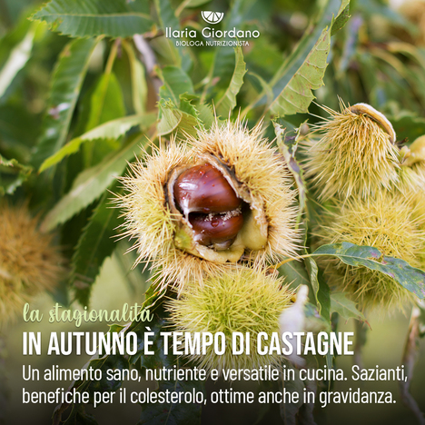 22092101_ottobre_castagne_1080x10800.jpg